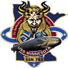 USS Minnesota insignia